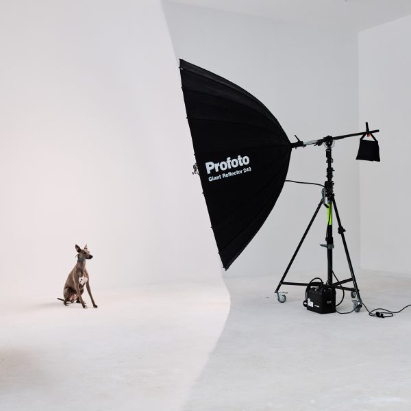 Profoto Giant Reflector 240 - Image 2