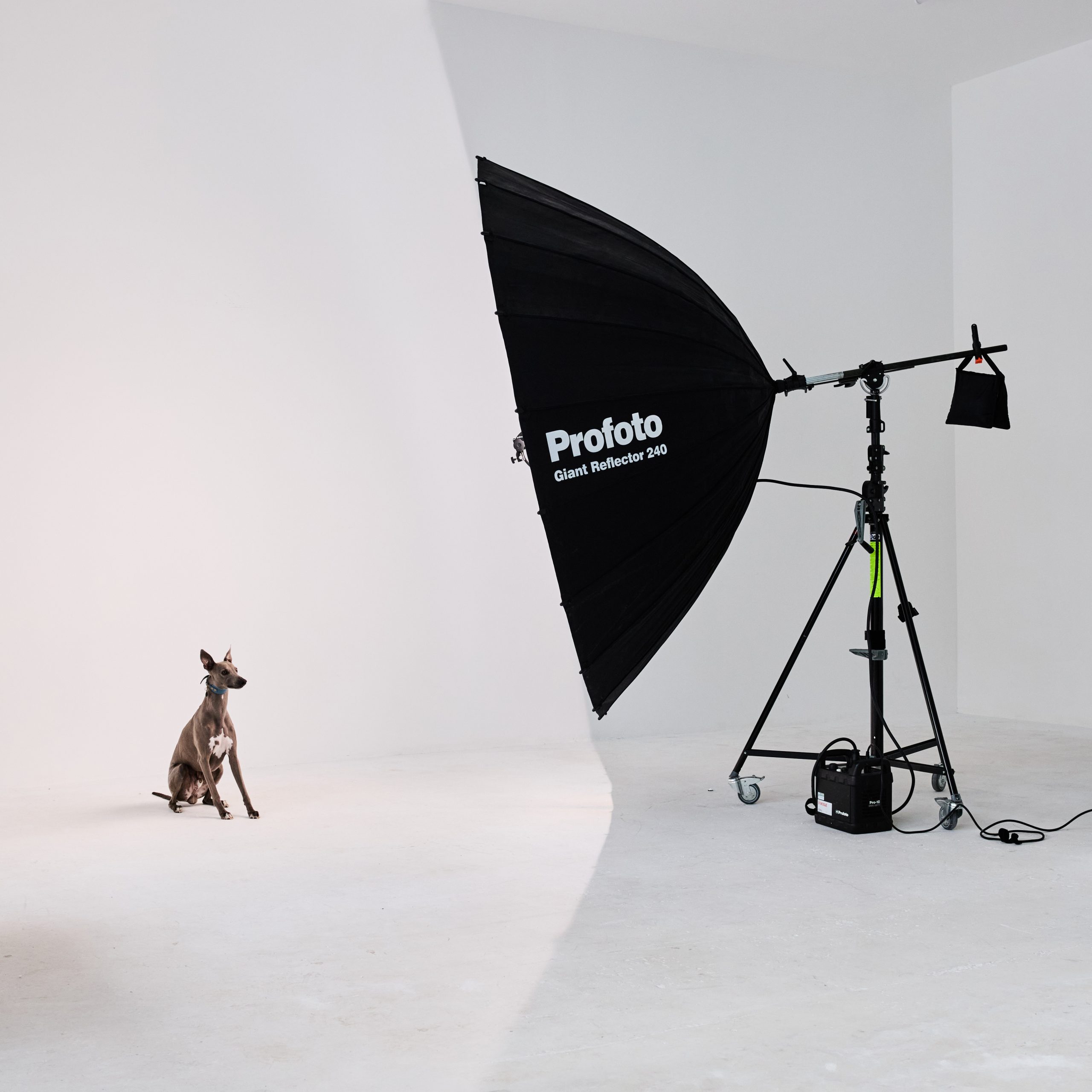 Profoto Giant Reflector 240 - Image 2