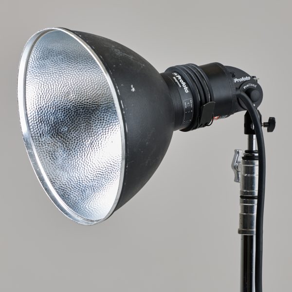 Profoto Magnum